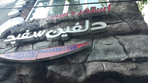 استخر دلفین سفید تبریز