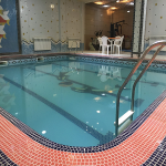 استخرVIP خانوادگی هتل پدرام